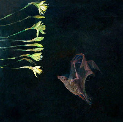 Pteropus mariannus, 60 x 60 cm, Oel auf Leinwand, 2006
